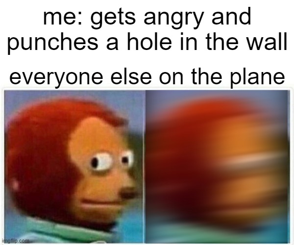 Monkey Puppet Meme | me: gets angry and punches a hole in the wall; everyone else on the plane | image tagged in memes,monkey puppet,funny,dark humor | made w/ Imgflip meme maker