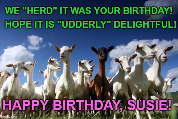 solidarity goats | WE "HERD" IT WAS YOUR BIRTHDAY! HOPE IT IS "UDDERLY" DELIGHTFUL! HAPPY BIRTHDAY, SUSIE! | image tagged in solidarity goats | made w/ Imgflip meme maker