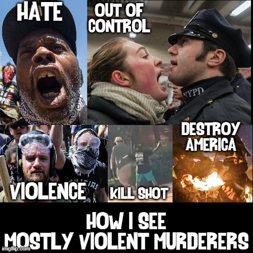 NEVER vote Democrat. EVER! | HATE; OUT OF CONTROL; DESTROY AMERICA; VIOLENCE; KILL SHOT; HOW I SEE
MOSTLY VIOLENT MURDERERS | image tagged in vince vance,never,vote,democrats,democratic party,memes | made w/ Imgflip meme maker