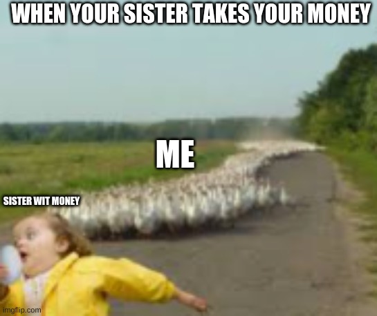 Chickens | WHEN YOUR SISTER TAKES YOUR MONEY; ME; SISTER WIT MONEY | image tagged in animals,money,sister,running | made w/ Imgflip meme maker