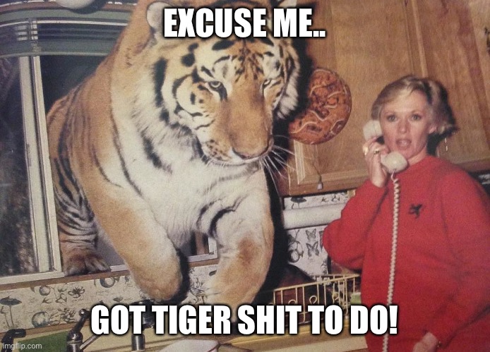 Tiger shit to do | EXCUSE ME.. GOT TIGER SHIT TO DO! | image tagged in tiger jumping through window | made w/ Imgflip meme maker