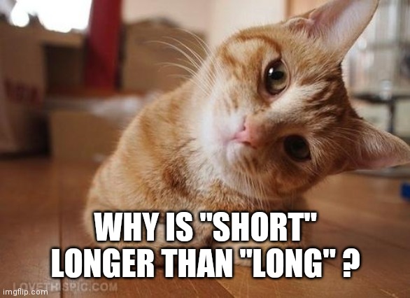 Curious Question Cat | WHY IS "SHORT" LONGER THAN "LONG" ? | image tagged in curious question cat | made w/ Imgflip meme maker