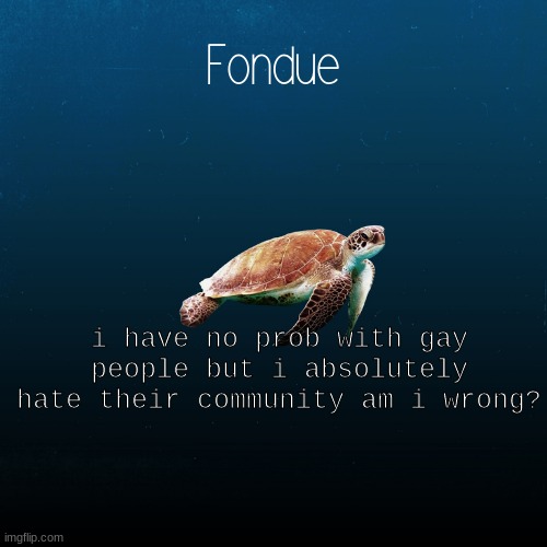 it's so toxic am i wrong? | i have no prob with gay people but i absolutely hate their community am i wrong? | image tagged in turtle template-fondue | made w/ Imgflip meme maker