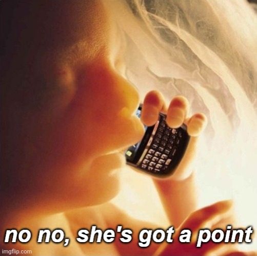 Fetus phone no no she's got a point | image tagged in fetus phone no no she's got a point | made w/ Imgflip meme maker