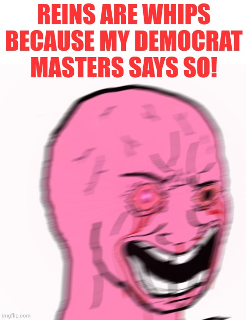 REINS ARE WHIPS BECAUSE MY DEMOCRAT MASTERS SAYS SO! | made w/ Imgflip meme maker