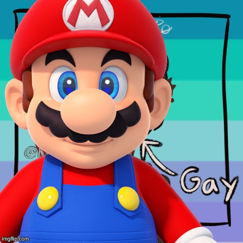 Mario THE MEMER | image tagged in funny | made w/ Imgflip meme maker