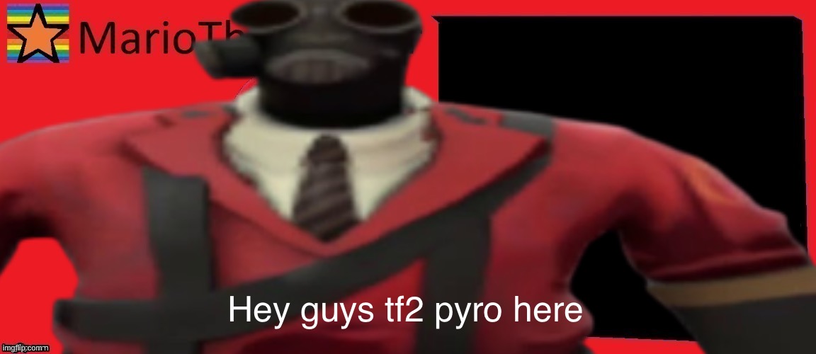 TheLargePig is a bully!!!!!! | Hey guys tf2 pyro here | image tagged in funny | made w/ Imgflip meme maker