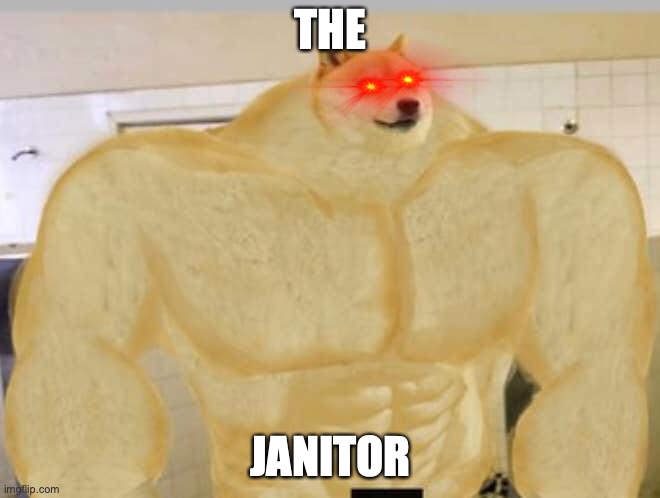 my school in a nutshell | THE; JANITOR | image tagged in sussy | made w/ Imgflip meme maker