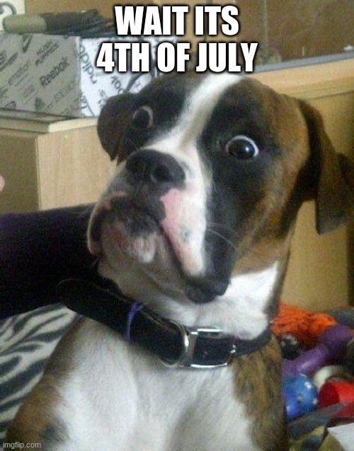 Surprised Dog | WAIT ITS 4TH OF JULY | image tagged in surprised dog | made w/ Imgflip meme maker