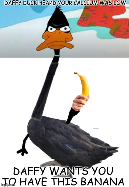 DAFFY DUCK HEARD YOUR CALCIUM WAS LOW; DAFFY WANTS YOU TO HAVE THIS BANANA | image tagged in funny memes,memes,popular,upvotes,big chungus,mugshot | made w/ Imgflip meme maker