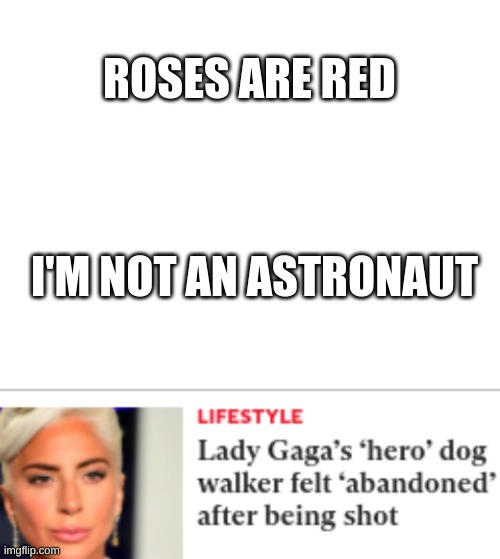 ROSES ARE RED; I'M NOT AN ASTRONAUT | image tagged in blank white template | made w/ Imgflip meme maker