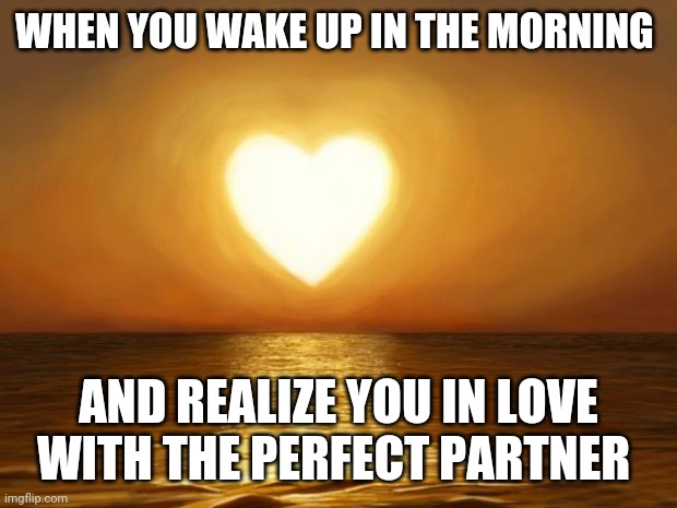 Love | WHEN YOU WAKE UP IN THE MORNING; AND REALIZE YOU IN LOVE WITH THE PERFECT PARTNER | image tagged in love | made w/ Imgflip meme maker