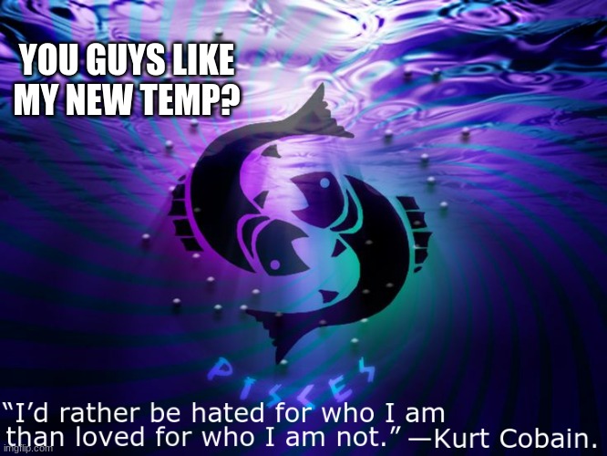 I have too many announcement templates now | YOU GUYS LIKE MY NEW TEMP? | image tagged in custom template | made w/ Imgflip meme maker