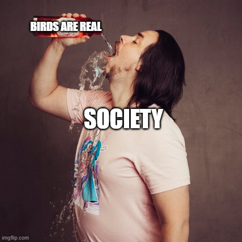 ArinHansonAsSociety | BIRDS ARE REAL; SOCIETY | image tagged in it's a conspiracy | made w/ Imgflip meme maker