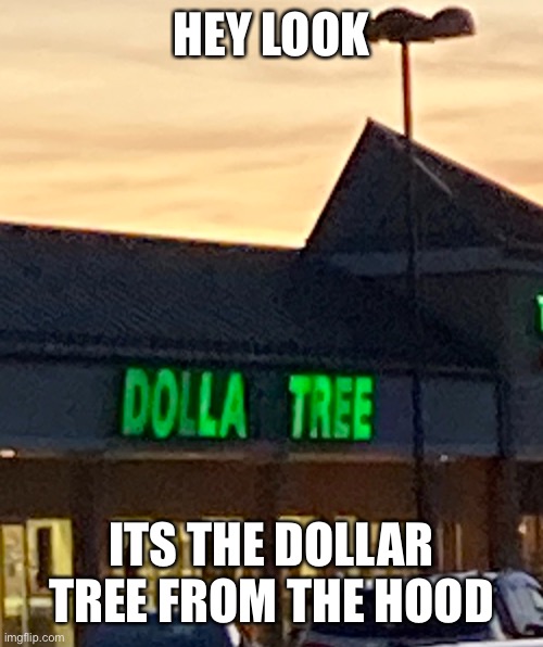 Didn’t expect this. | HEY LOOK; ITS THE DOLLAR TREE FROM THE HOOD | image tagged in memes | made w/ Imgflip meme maker
