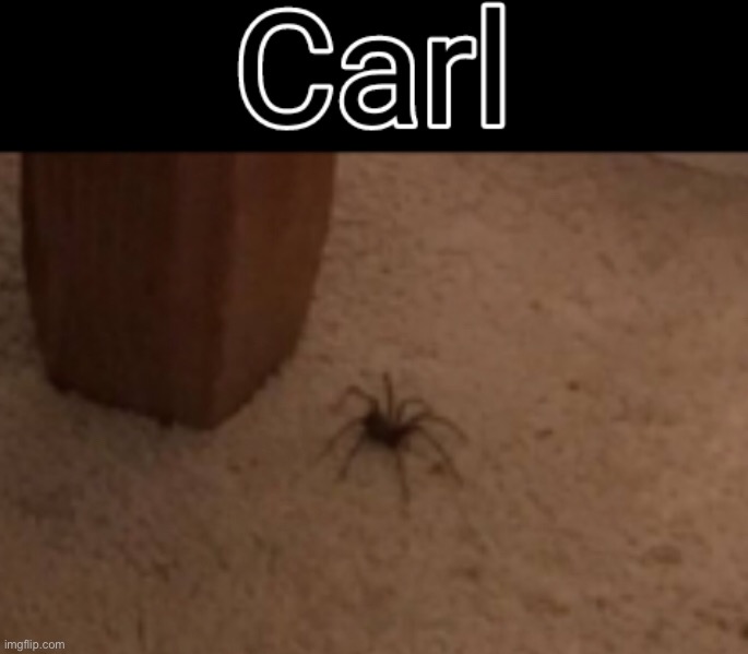 Carl | made w/ Imgflip meme maker