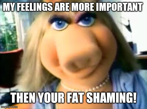 Mad Miss Piggy | MY FEELINGS ARE MORE IMPORTANT THEN YOUR FAT SHAMING! | image tagged in mad miss piggy | made w/ Imgflip meme maker