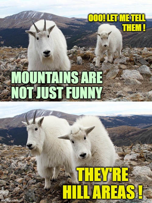 The experts agree | OOO! LET ME TELL
THEM ! MOUNTAINS ARE NOT JUST FUNNY; DJ Anomalous; THEY'RE HILL AREAS ! | image tagged in animals,mountains,goat memes,bad pun,puns,funny animals | made w/ Imgflip meme maker