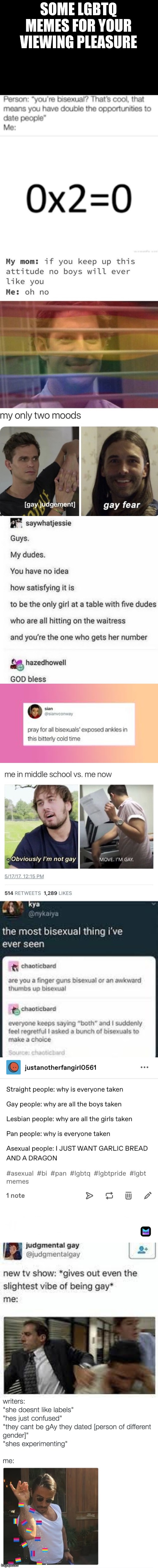 Your welcome |  SOME LGBTQ MEMES FOR YOUR VIEWING PLEASURE | image tagged in lgbtq | made w/ Imgflip meme maker