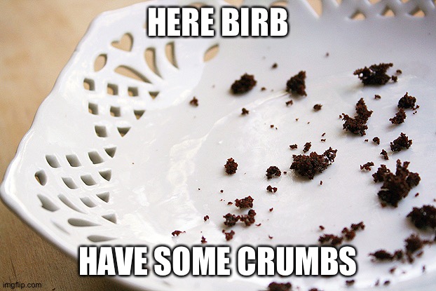 crumbs | HERE BIRB HAVE SOME CRUMBS | image tagged in crumbs | made w/ Imgflip meme maker