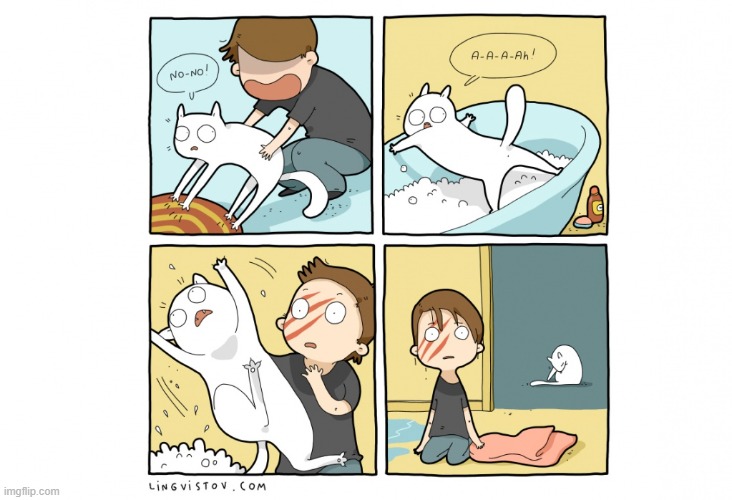 A Cat's Way Of Thinking | image tagged in memes,comics,cats,bath,oh no,that's not how this works | made w/ Imgflip meme maker