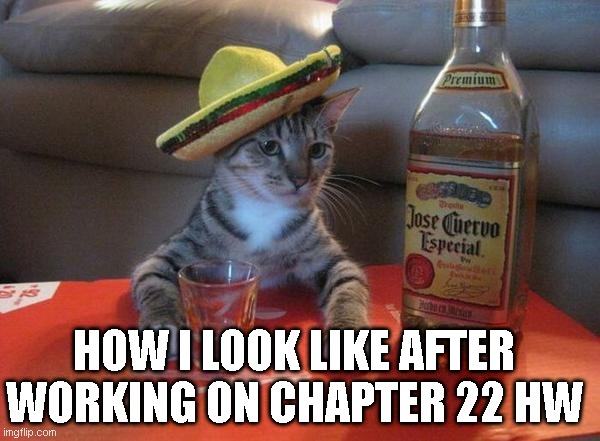 alcohol cat | HOW I LOOK LIKE AFTER WORKING ON CHAPTER 22 HW | image tagged in alcohol cat | made w/ Imgflip meme maker
