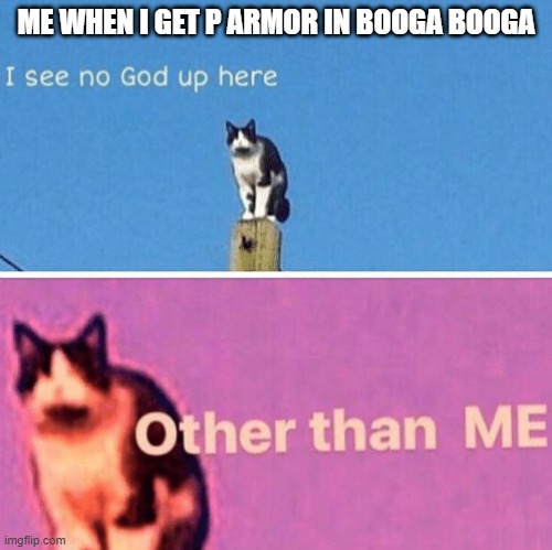 its insane to fight it | ME WHEN I GET P ARMOR IN BOOGA BOOGA | image tagged in hail pole cat | made w/ Imgflip meme maker