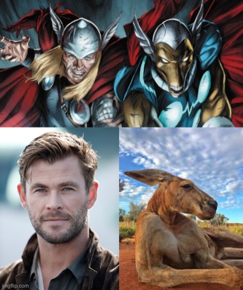Marvel picked an Aussie for a reason | image tagged in thor,bill,chris hemsworth,kangaroo,aussie | made w/ Imgflip meme maker