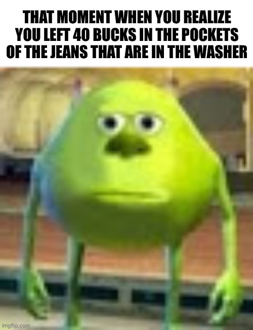 Not stonks |  THAT MOMENT WHEN YOU REALIZE YOU LEFT 40 BUCKS IN THE POCKETS OF THE JEANS THAT ARE IN THE WASHER | image tagged in sully wazowski,money,uh oh,stare,oh wow are you actually reading these tags | made w/ Imgflip meme maker