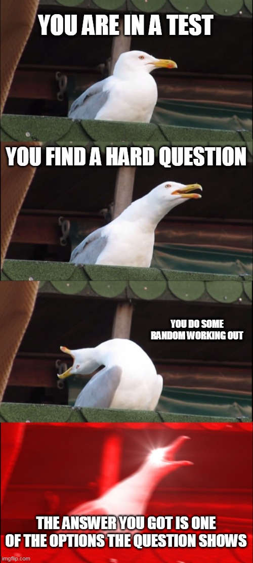 a greatest moment in a test | YOU ARE IN A TEST; YOU FIND A HARD QUESTION; YOU DO SOME RANDOM WORKING OUT; THE ANSWER YOU GOT IS ONE OF THE OPTIONS THE QUESTION SHOWS | image tagged in memes,inhaling seagull | made w/ Imgflip meme maker