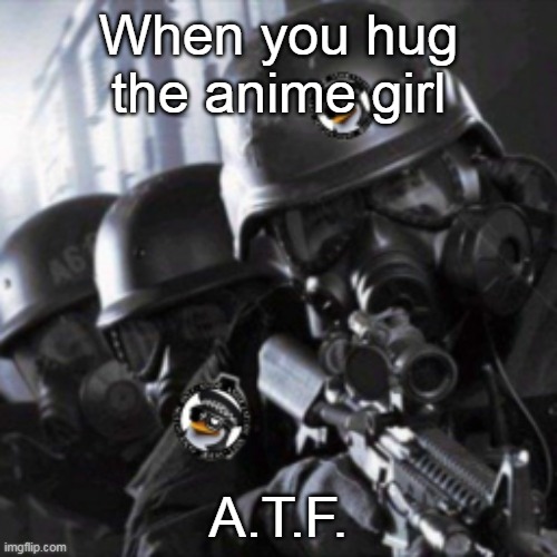 A.T.F. | When you hug the anime girl; A.T.F. | image tagged in anti anime,us army,atf,meme | made w/ Imgflip meme maker