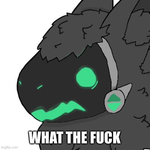 Spooked Emerald Protogen | WHAT THE FUCK | image tagged in spooked emerald protogen | made w/ Imgflip meme maker