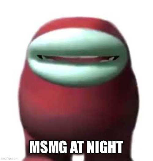 Amogus Sussy | MSMG AT NIGHT | image tagged in amogus sussy | made w/ Imgflip meme maker