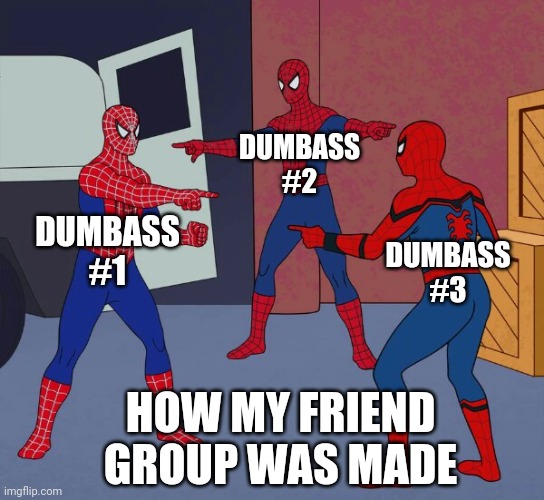 The dumb trio | DUMBASS #2; DUMBASS #1; DUMBASS #3; HOW MY FRIEND GROUP WAS MADE | image tagged in spider man triple | made w/ Imgflip meme maker