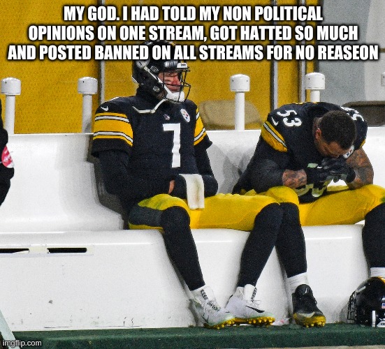That's the problem when you get too much popularity | MY GOD. I HAD TOLD MY NON POLITICAL OPINIONS ON ONE STREAM, GOT HATTED SO MUCH AND POSTED BANNED ON ALL STREAMS FOR NO REASEON | made w/ Imgflip meme maker