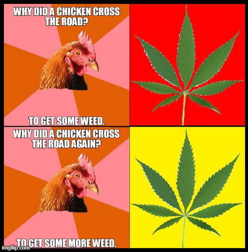 Understanding why Stoner Yard Birds do what they do! | image tagged in vince vance,stoner,memes,marijuana,why did the chicken cross the road,smoke weed | made w/ Imgflip meme maker