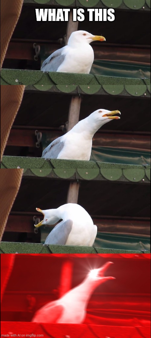 Inhaling Seagull | WHAT IS THIS | image tagged in memes,inhaling seagull | made w/ Imgflip meme maker
