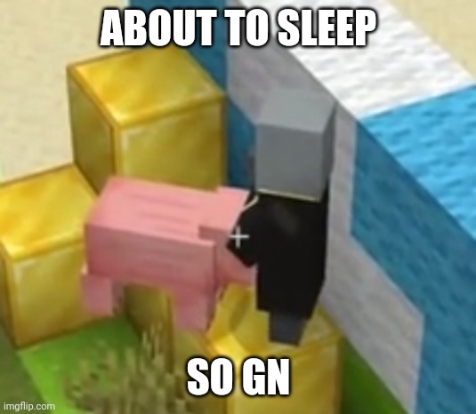 Cya if I can somehow stay up | ABOUT TO SLEEP; SO GN | image tagged in pig giving pillager head | made w/ Imgflip meme maker