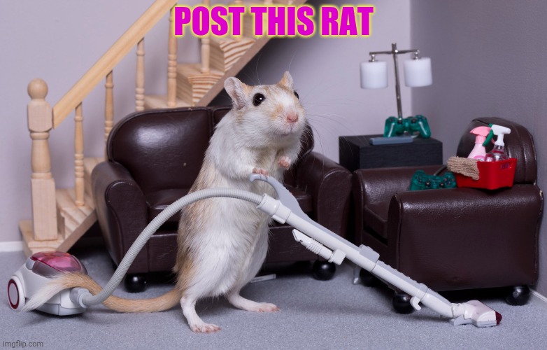 POST THIS RAT | made w/ Imgflip meme maker