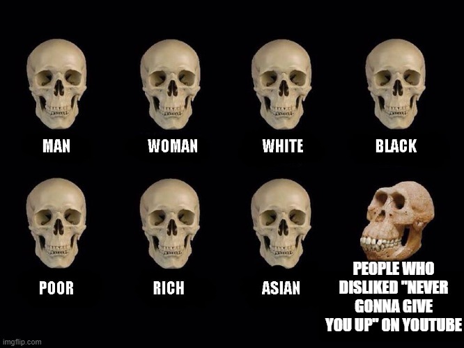 never gonna let you down | PEOPLE WHO DISLIKED "NEVER GONNA GIVE YOU UP" ON YOUTUBE | image tagged in empty skulls of truth | made w/ Imgflip meme maker