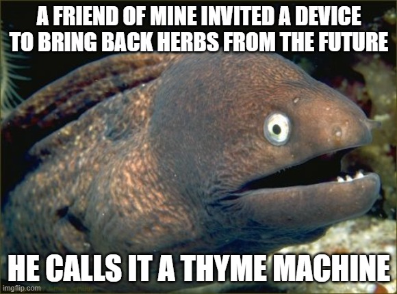 Bad Joke Eel | A FRIEND OF MINE INVITED A DEVICE TO BRING BACK HERBS FROM THE FUTURE; HE CALLS IT A THYME MACHINE | image tagged in memes,bad joke eel | made w/ Imgflip meme maker