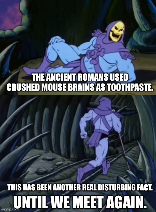 Disturbing Facts Skeletor | THE ANCIENT ROMANS USED CRUSHED MOUSE BRAINS AS TOOTHPASTE. THIS HAS BEEN ANOTHER REAL DISTURBING FACT. UNTIL WE MEET AGAIN. | image tagged in disturbing facts skeletor | made w/ Imgflip meme maker