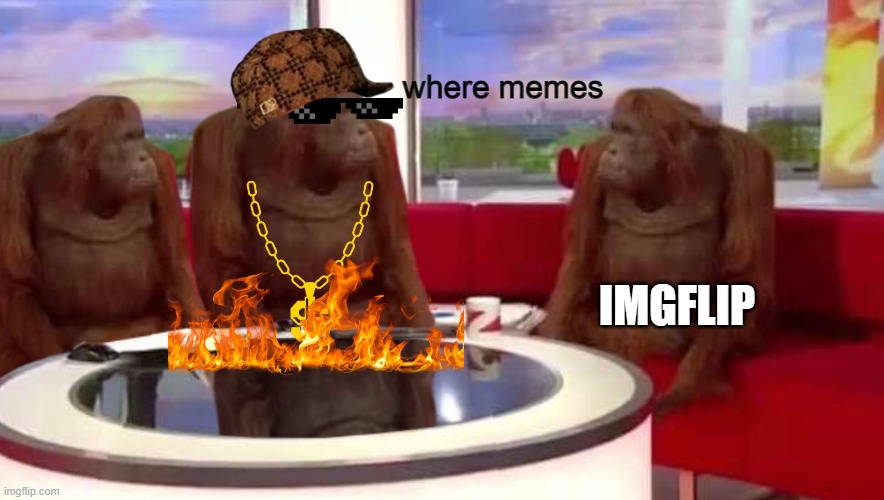 where memes | where memes; IMGFLIP | image tagged in where memes | made w/ Imgflip meme maker