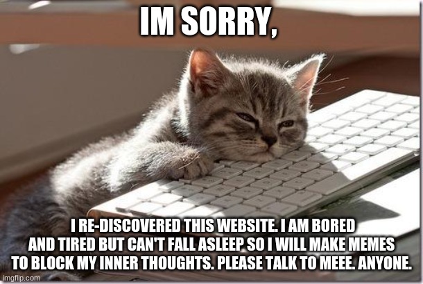 Bored Keyboard Cat | IM SORRY, I RE-DISCOVERED THIS WEBSITE. I AM BORED AND TIRED BUT CAN'T FALL ASLEEP SO I WILL MAKE MEMES TO BLOCK MY INNER THOUGHTS. PLEASE TALK TO MEEE. ANYONE. | image tagged in bored keyboard cat | made w/ Imgflip meme maker