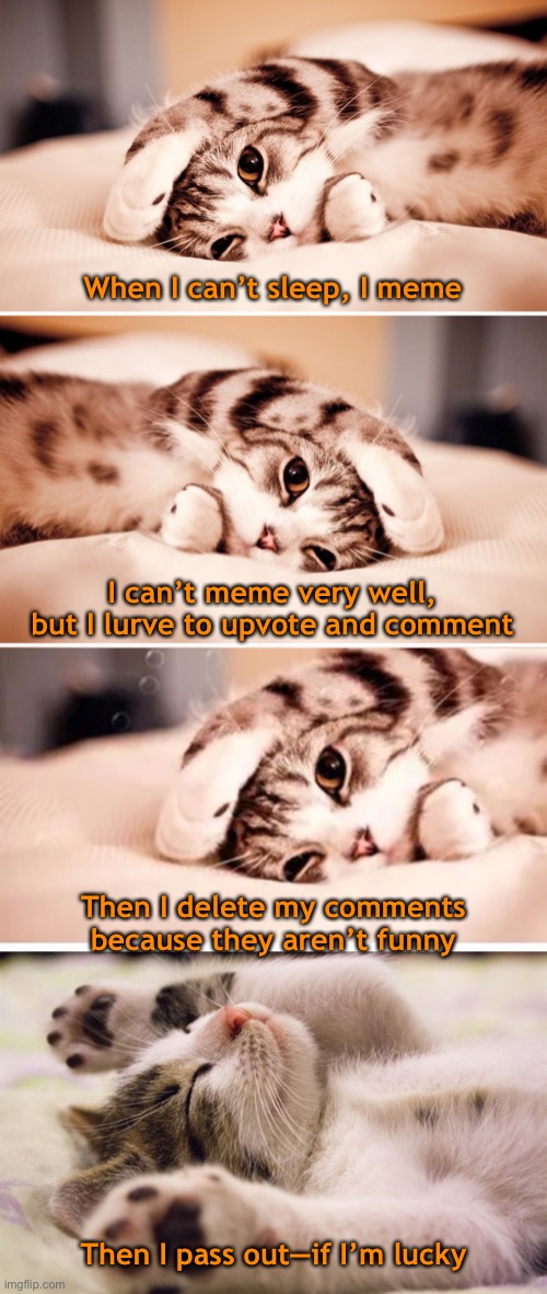 I like the night life, Baby! | When I can’t sleep, I meme; I can’t meme very well, but I lurve to upvote and comment; Then I delete my comments because they aren’t funny; Then I pass out—if I’m lucky | image tagged in funny memes,funny cats,i suck | made w/ Imgflip meme maker