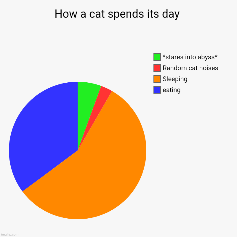 How a cat spends its day | eating, Sleeping, Random cat noises, *stares into abyss* | image tagged in charts,pie charts | made w/ Imgflip chart maker
