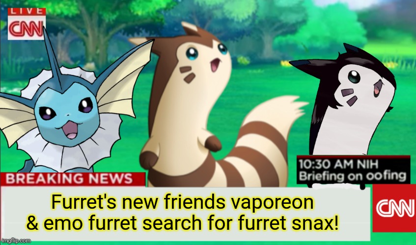 Important furret news | Furret's new friends vaporeon & emo furret search for furret snax! | image tagged in breaking news furret,furret,vaporeon,pokemon,cute animals | made w/ Imgflip meme maker
