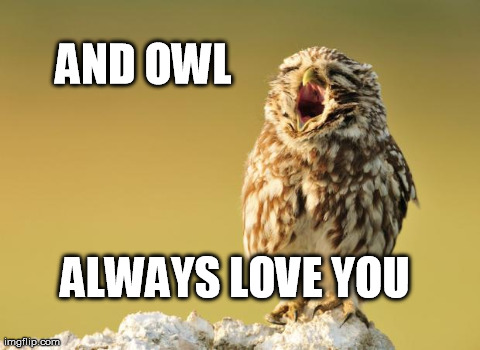 AND OWL ALWAYS LOVE YOU | made w/ Imgflip meme maker