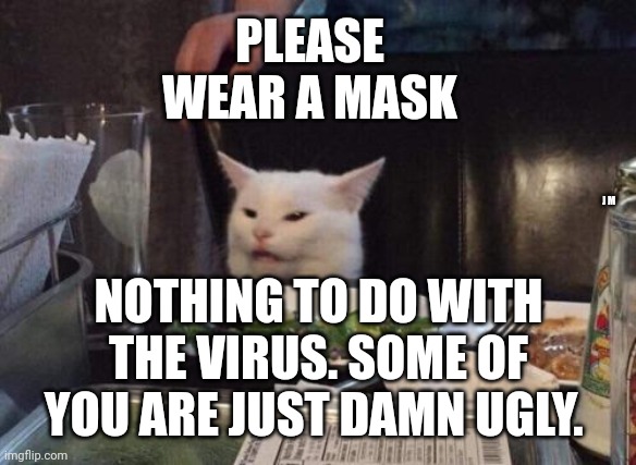 Salad cat | PLEASE WEAR A MASK; J M; NOTHING TO DO WITH THE VIRUS. SOME OF YOU ARE JUST DAMN UGLY. | image tagged in salad cat | made w/ Imgflip meme maker