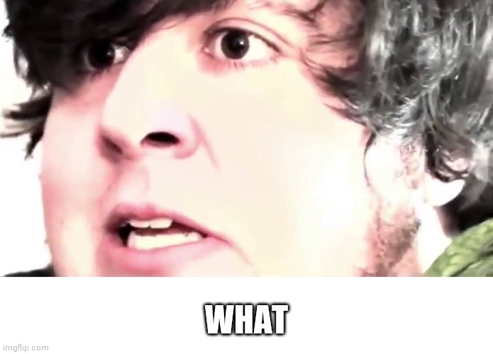 Jon Tron Stop | WHAT | image tagged in jon tron stop | made w/ Imgflip meme maker